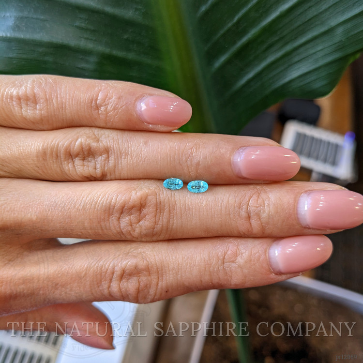 0.46 Ct.Tw. Paraiba Tourmaline Pair from Brazil