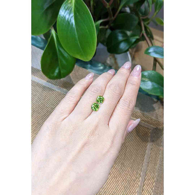 2.93 Ct.Tw. Peridot Pair from Afghanistan