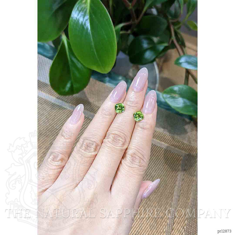 2.93 Ct.Tw. Peridot Pair from Afghanistan