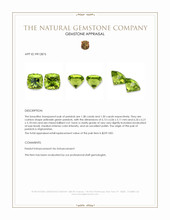 2.88&nbsp;Ct.Tw.Total Carat Weight Peridot Pair from Afghanistan Appraisal