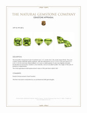 2.91&nbsp;Ct.Tw.Total Carat Weight Peridot Pair from Afghanistan Appraisal