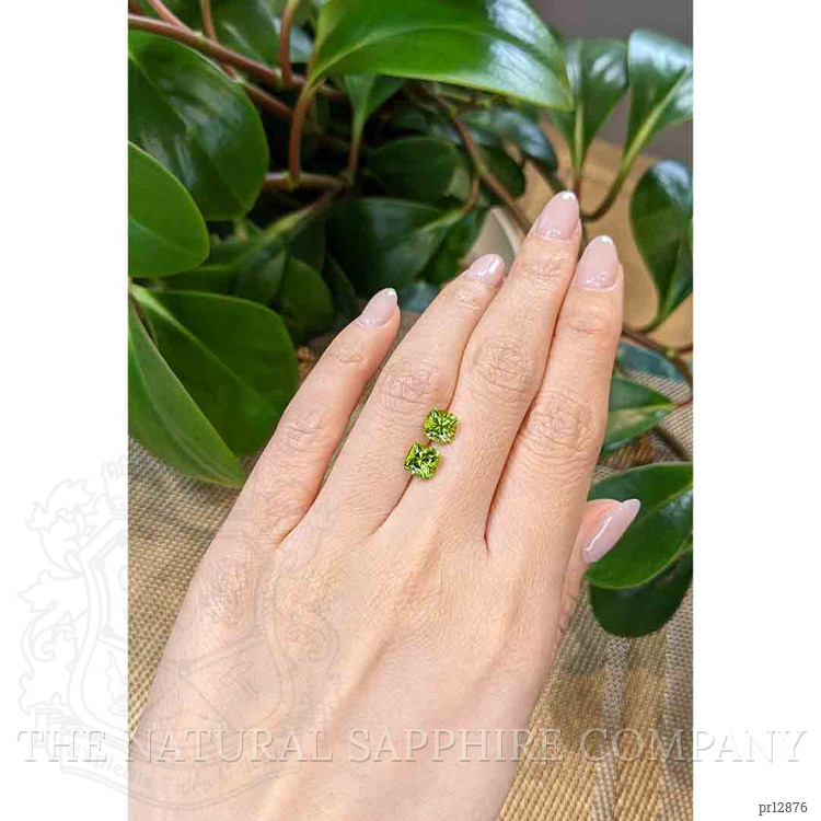 2.91 Ct.Tw. Peridot Pair from Afghanistan