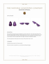 22.23 Ct.Tw.Total Carat Weight Purple Amethyst Pair from Bolivia Appraisal