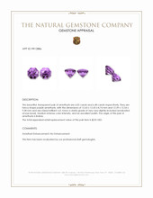 12.51 Ct.Tw.Total Carat Weight Amethyst Pair from Bolivia Appraisal