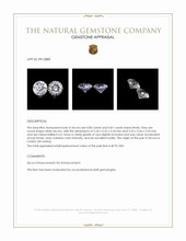 1.61 Ct.Tw.Total Carat Weight White Zircon Pair from Ceylon (Sri Lanka) Appraisal