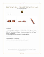 2.03 Ct.Tw.Total Carat Weight Garnet Pair from Ceylon (Sri Lanka) Appraisal