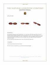 2.65&nbsp;Ct.Tw.Total Carat Weight Garnet Pair from Ceylon (Sri Lanka) Appraisal