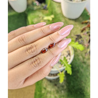 2.43&nbsp;Ct.Tw.Total Carat Weight Garnet Pair from Ceylon (Sri Lanka) Life Style