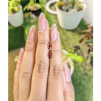 1.67&nbsp;Ct.Tw.Total Carat Weight Garnet Pair from Ceylon (Sri Lanka) Life Style