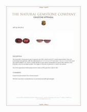 1.80&nbsp;Ct.Tw.Total Carat Weight Garnet Pair from Ceylon (Sri Lanka) Appraisal