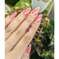 1.80&nbsp;Ct.Tw.Total Carat Weight Garnet Pair from Ceylon (Sri Lanka) Life Style