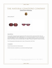 1.89&nbsp;Ct.Tw.Total Carat Weight Garnet Pair from Ceylon (Sri Lanka) Appraisal