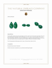 45.70 Ct.Tw.Total Carat Weight Cabochon Emerald Pair from Zambia Appraisal