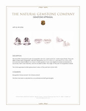 0.82 Ct.Tw.Total Carat Weight Morganite Pair from Brazil Appraisal