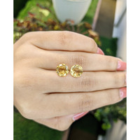 4.14 Ct.Tw.Total Carat Weight Yellow Citrine Pair from Brazil Life Style