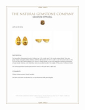 3.77 Ct.Tw.Total Carat Weight Citrine Pair from Brazil Appraisal