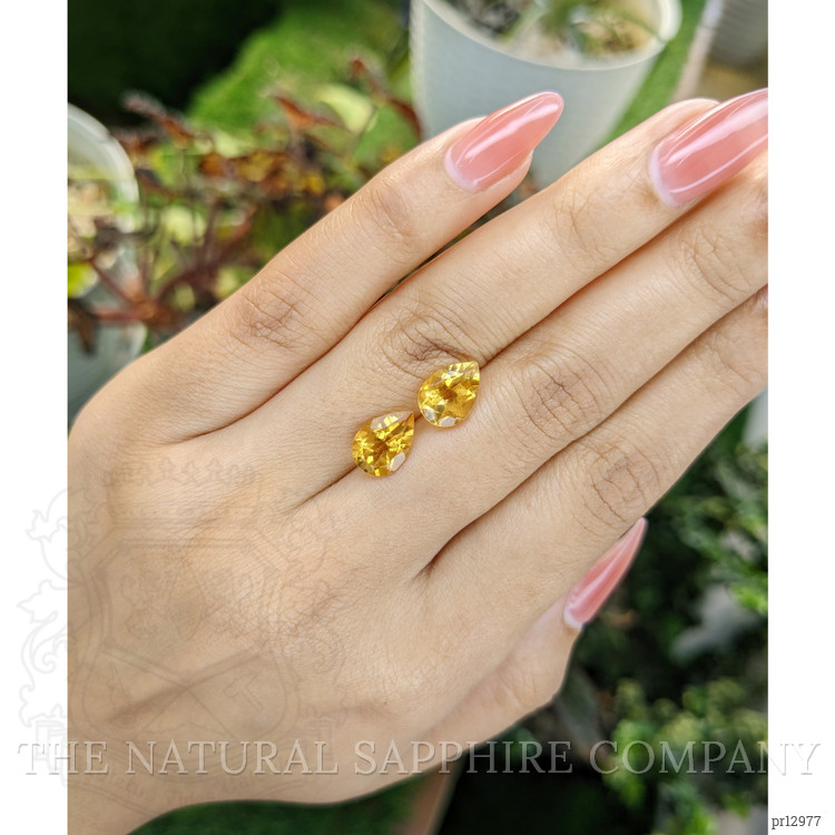 3.84 Ct.Tw. Citrine Pair from Brazil