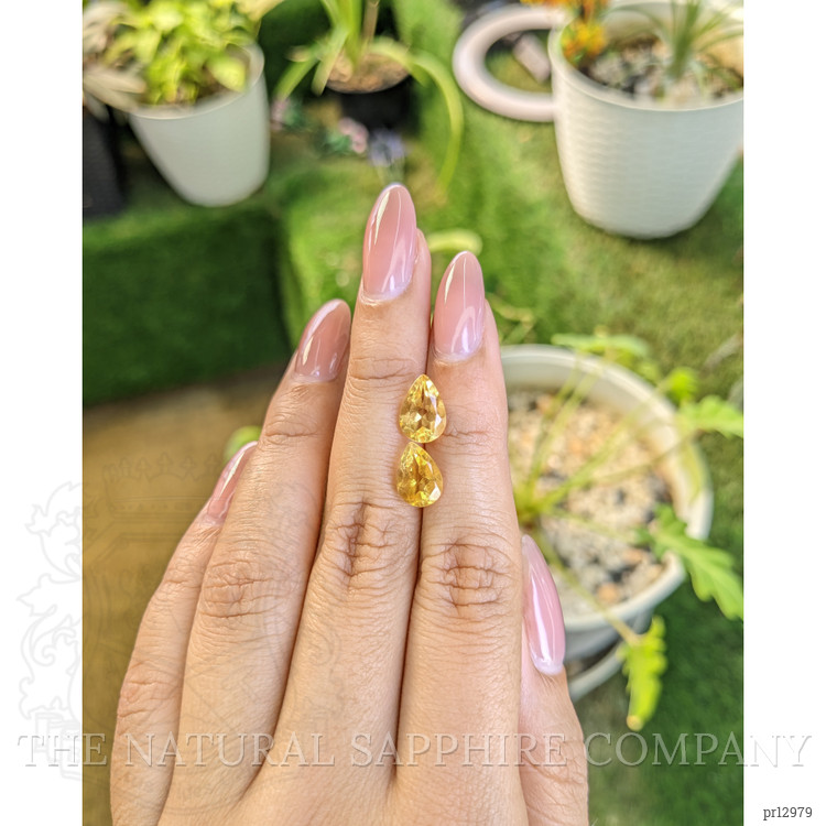 3.84 Ct.Tw. Citrine Pair from Brazil