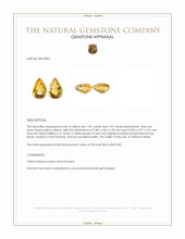 3.79 Ct.Tw.Total Carat Weight Yellow Citrine Pair from Brazil Appraisal