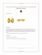 3.93 Ct.Tw.Total Carat Weight Citrine Pair from Brazil Appraisal