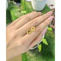 4.83&nbsp;Ct.Tw.Total Carat Weight Citrine Pair from Brazil Life Style