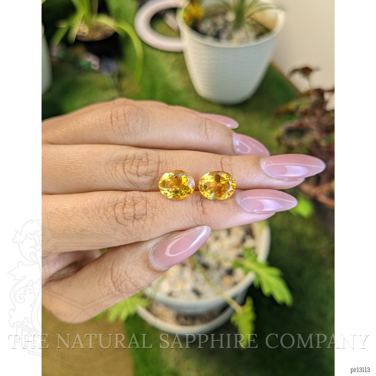 6.35 Ct.Tw. Citrine Pair from Brazil