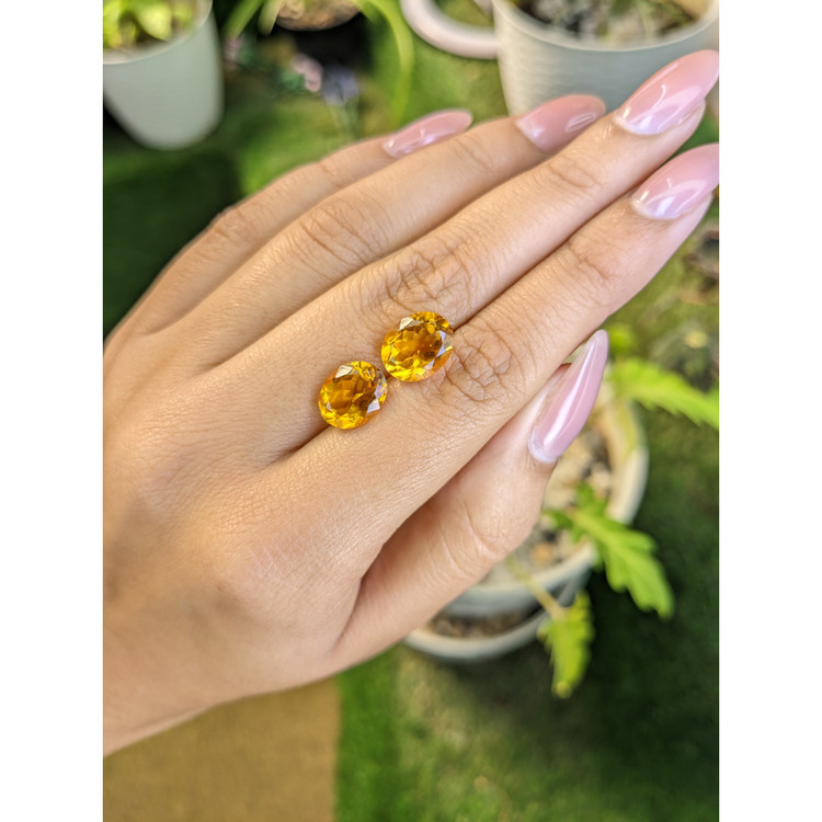 6.36 Ct.Tw. Citrine Pair from Brazil