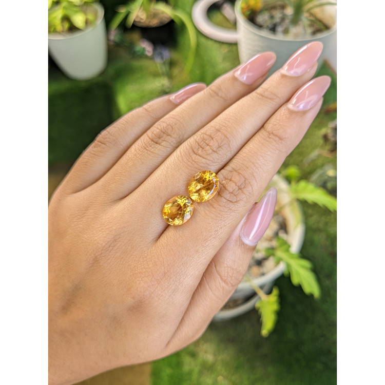 6.36 Ct.Tw. Citrine Pair from Brazil