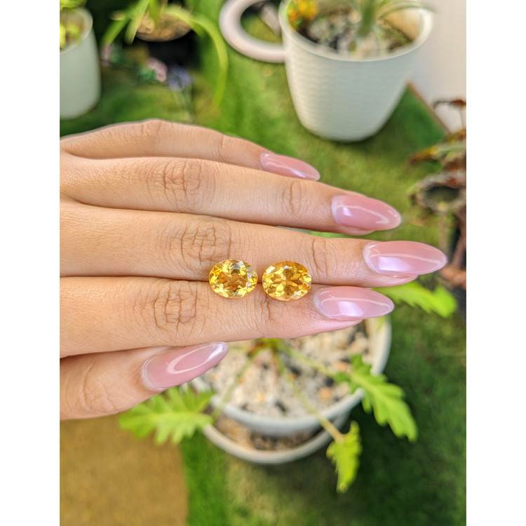 6.36 Ct.Tw. Citrine Pair from Brazil