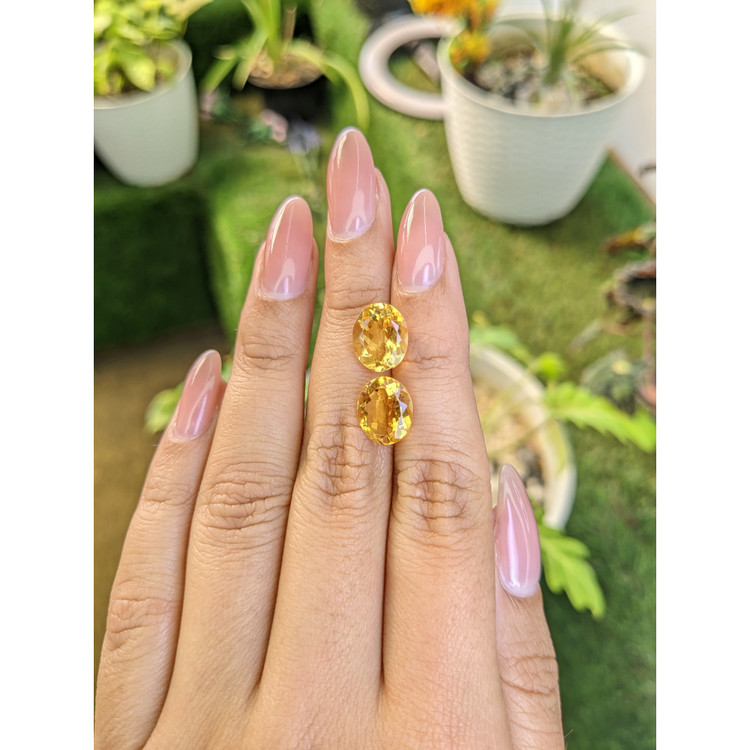 6.32 Ct.Tw. Citrine Pair from Brazil