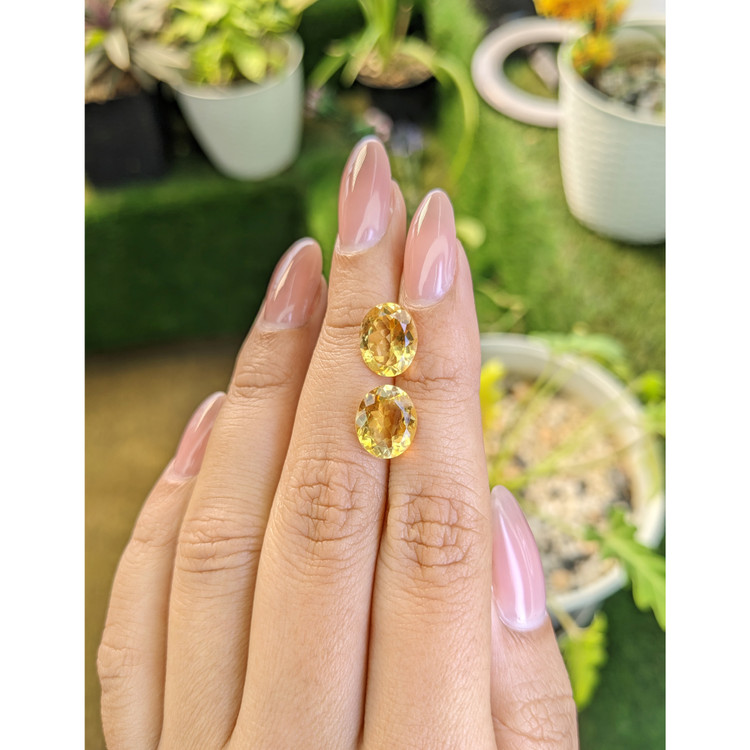 5.54 Ct.Tw. Citrine Pair from Brazil