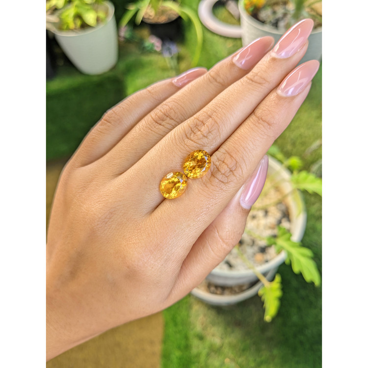 6.29 Ct.Tw. Citrine Pair from Brazil