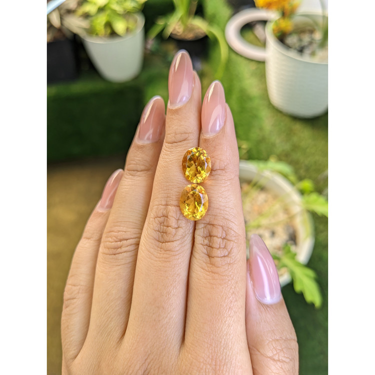 6.29 Ct.Tw. Citrine Pair from Brazil