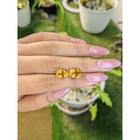 6.29&nbsp;Ct.Tw.Total Carat Weight Citrine Pair from Brazil Life Style