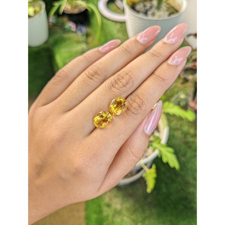 6.30 Ct.Tw. Citrine Pair from Brazil