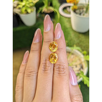 6.95 Ct.Tw.Total Carat Weight Citrine Pair from Brazil Life Style