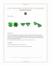 1.30 Ct.Tw.Total Carat Weight Tsavorite Garnet Pair from Tanzania Appraisal