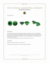 1.00 Ct.Tw.Total Carat Weight Tsavorite Garnet Pair from Tanzania Appraisal