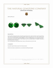 1.17 Ct.Tw.Total Carat Weight Tsavorite Garnet Pair from Tanzania Appraisal