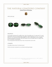 4.31 Ct.Tw.Total Carat Weight Green Tourmaline Pair from Mozambique Appraisal