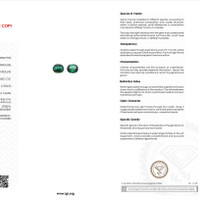 4.31 Ct.Tw.Total Carat Weight Tourmaline Pair from Mozambique Scan Report
