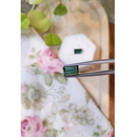 7.12&nbsp;Ct.Tw.Total Carat Weight Tourmaline Pair from Mozambique Life Style