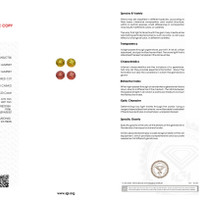 2.30 Ct.Tw.Total Carat Weight Garnet Pair from Tanzania Scan Report