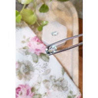 5.57&nbsp;Ct.Tw.Total Carat Weight Greenish Blue Aquamarine Pair from Brazil Life Style