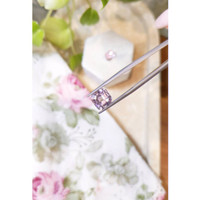 8.01 Ct.Tw.Total Carat Weight Kunzite Pair from Afghanistan Life Style