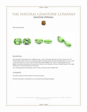 1.91&nbsp;Ct.Tw.Total Carat Weight Tsavorite Garnet Pair from Tanzania Appraisal