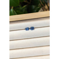 1.43 Ct.Tw.Total Carat Weight Aquamarine Pair from Brazil Life Style