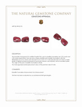 11.91 Ct.Tw.Total Carat Weight Rubellite Tourmaline Pair from Brazil Appraisal