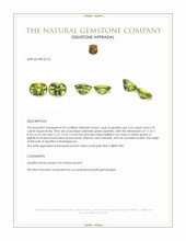 8.93&nbsp;Ct.Tw.Total Carat Weight Apatite Pair from Madagascar Appraisal