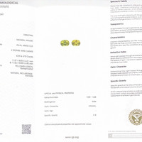 8.93 Ct.Tw.Total Carat Weight Apatite Pair from Madagascar Scan Report